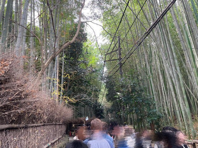 Nonomiya Jinja เทพธิดาแห่งการจับคู่ 💞