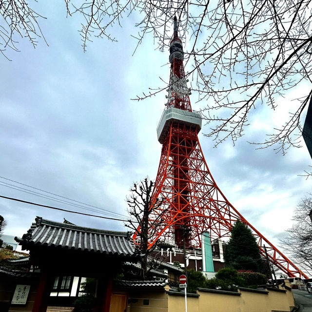 The stunning Tokyo tower 🗼 