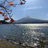 Fujisan ( ภูเขาฟูจิ ) 🗻