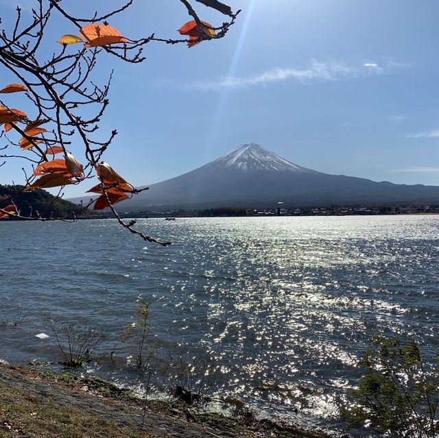 Fujisan ( ภูเขาฟูจิ ) 🗻