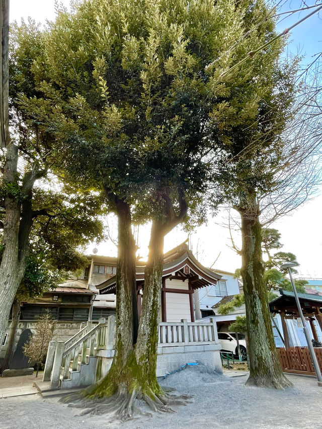 【東京都/中野区】昔の佇まいを感じさせる中野区の神社