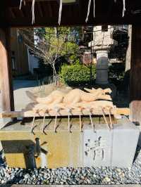 【愛知県】名古屋の総鎮守「若宮八幡社」を参拝