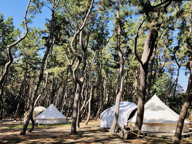 Camping in Chigasaki