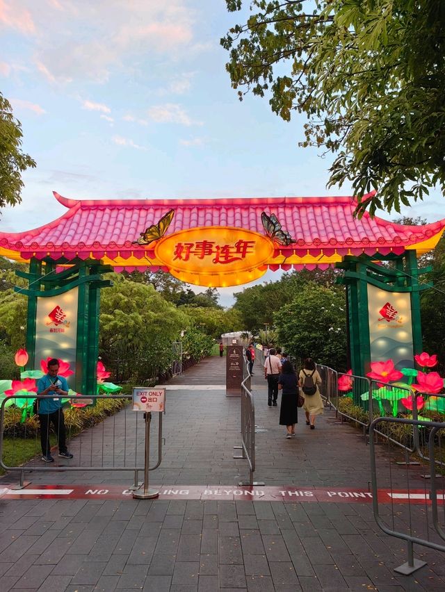 140 Metre Dragon Lantern in Singapore