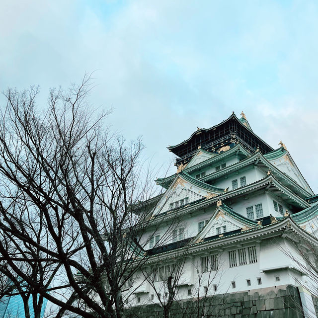 The castle of Osaka