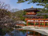 The 10 Yen Temple