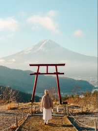 東京近郊 | 富士山