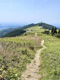 【和歌山】誰でも簡単に絶景とのコラボ写真が撮れるスポット