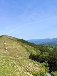 【和歌山】誰でも簡単に絶景とのコラボ写真が撮れるスポット