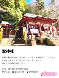 【聖神社/埼玉県】銭神様見守る金運アップご利益の神社