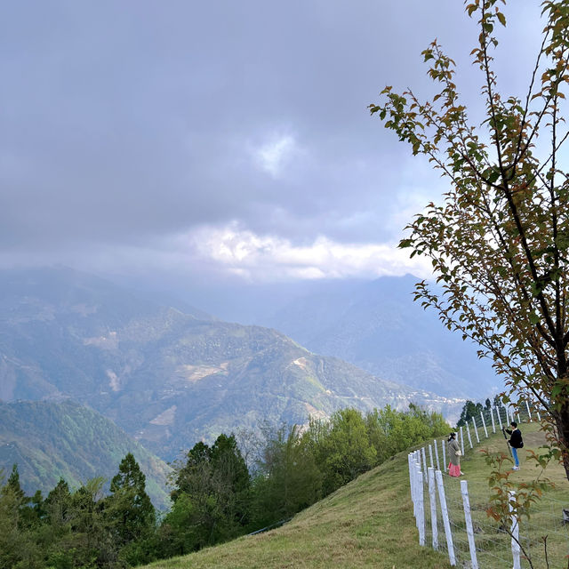 💗 2024 March : Taiwan Qing Jing Farm