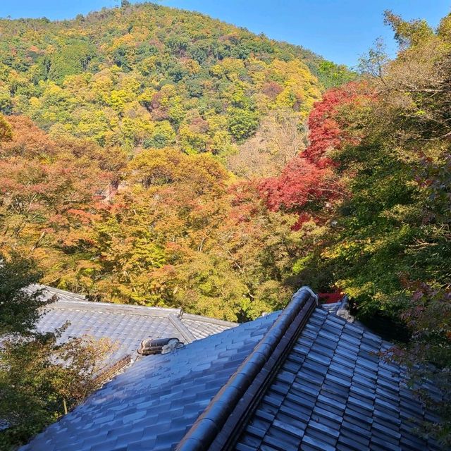 京都CMでも有名なスポット⭐瑠璃光院⭐