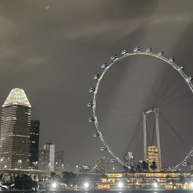新加坡 現代的城市