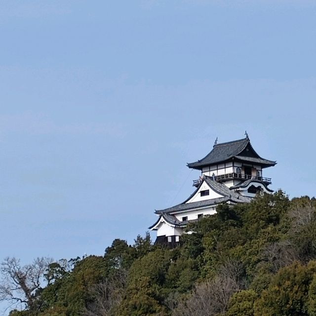 犬山遊