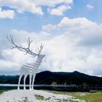 海と山の絶景を楽しめるハイブリッドキャンプ場〜おしか家族旅行村キャンプ場〜