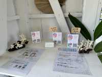 沖縄・石垣島。『Garden café YEEP』