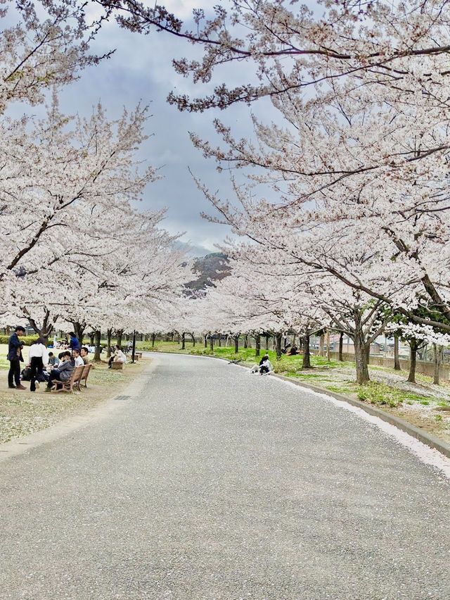 Jōyama Park 