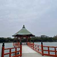 후쿠오카성 오호리 호수공원을 걸어보세요