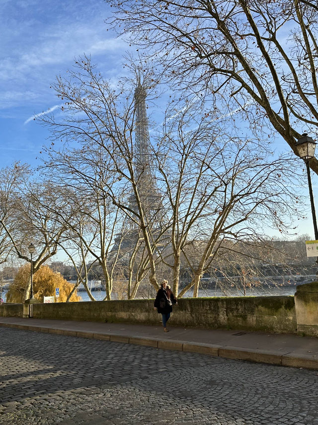 【フランス】パリのエッフェル塔がやっぱりマスト！