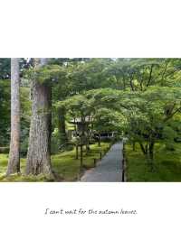 【京都】紅葉シーズンにも期待🍁