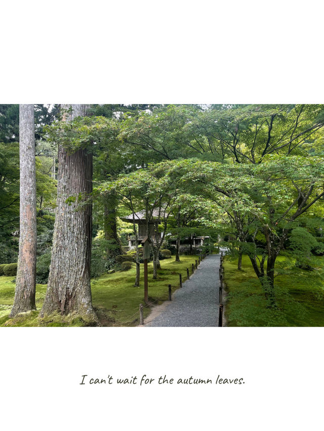 【京都】紅葉シーズンにも期待🍁