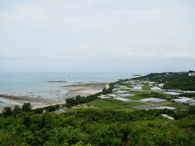 【沖繩】知念岬公園：無際太平洋景觀，適合春天旅遊