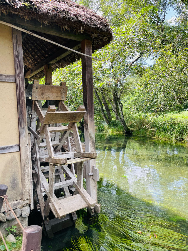 【長野県】大王わさび農場を観光！