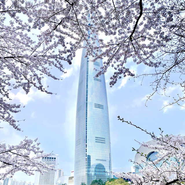 Breathtaking Blossoms at Seokchon Lake