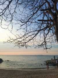 คิดถึงทะเล นึกถึง หาดวงศ์อมาตย์ 