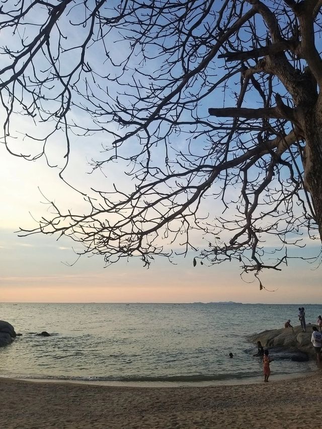 คิดถึงทะเล นึกถึง หาดวงศ์อมาตย์ 