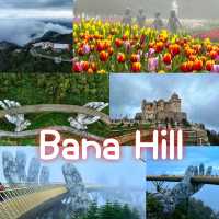 Bana Hill 