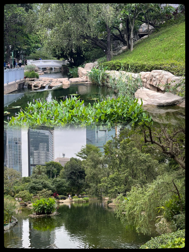 🌳春日探索香港公園的綠意之美🌸