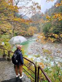 🚂 Kurobe Gorge ทางรถไฟสุดโรแมนติกในญี่ปุ่น