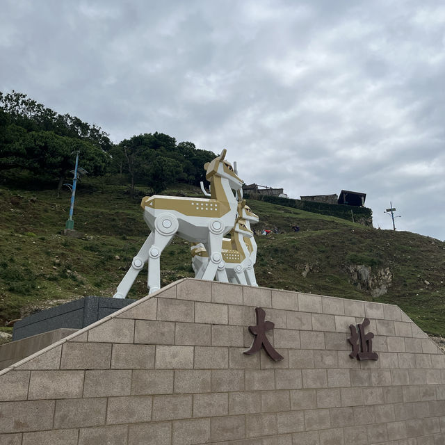 Deer Island 🦌 Formosa Deer 🦌 