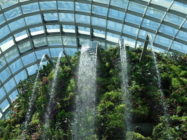 เที่ยว Garden by the bay ที่สิงคโปร์ 