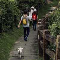 Bitoujiao Trail