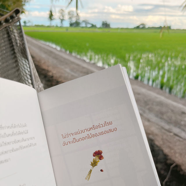 🌧️ฤดูฝนไปนอนฟาร์มสเตย์ คนละ 650 บาท 