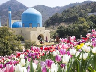 Reoma Resort: A Fairy Tale Paradise of Light and Flowers in Kagawa