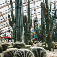 【日本】萬葉植物園：自然美景，充實愉快時光