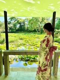 〜神奈川県〜紫陽花手水が綺麗すぎ✨神奈川最強のパワスポ！