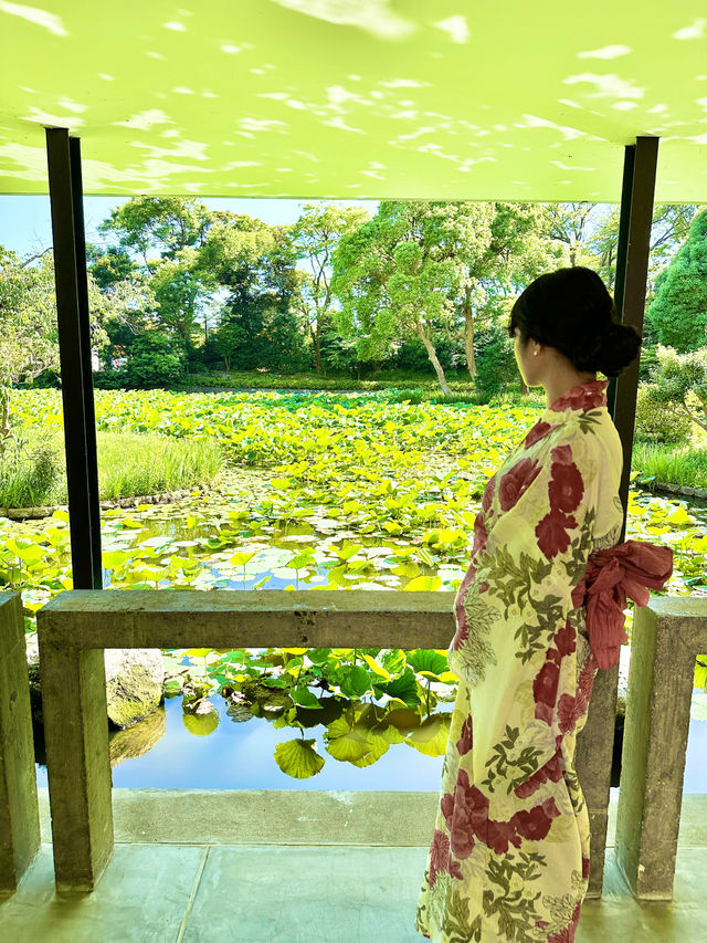 〜神奈川県〜紫陽花手水が綺麗すぎ✨神奈川最強のパワスポ！