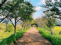 Hwapocheon wetland ecological park
