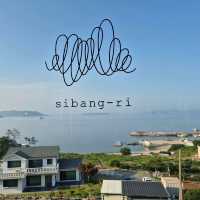 🖼️🎧아름다움의 극치, 시방리 카페 매미성점