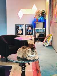 MUGS CAFE Phuket