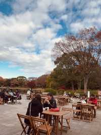 The Best Ginkgo Trees Park🍁Showa Kinen Park Tokyo
