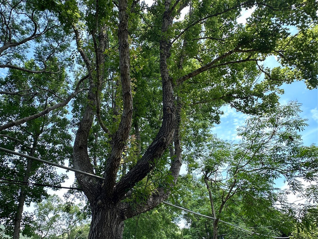 苗栗明德水庫：四季美景，適合欣賞自然景色和休閒活動