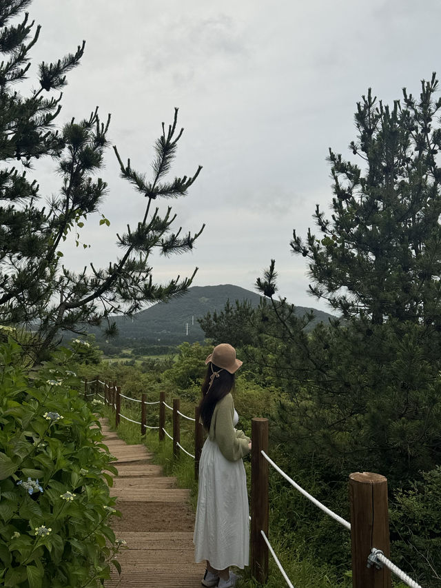 인생사진을 남길 수 있는 제주도 오름 ✨