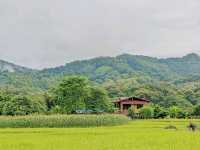 ปู๋ ป๋าล์ คันนา ปัว - Pupah Kanna Pua น่าน