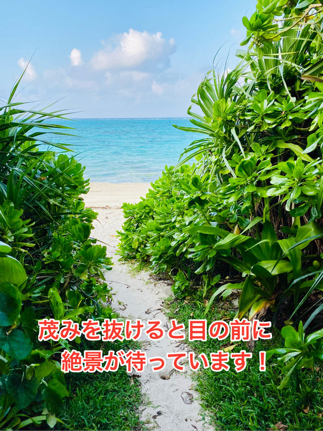 沖縄の美しいビーチでリラックスする時間🌺✨