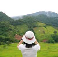 นาขั้นบันได - บ้านเวร บ่อเกลือ, น่าน